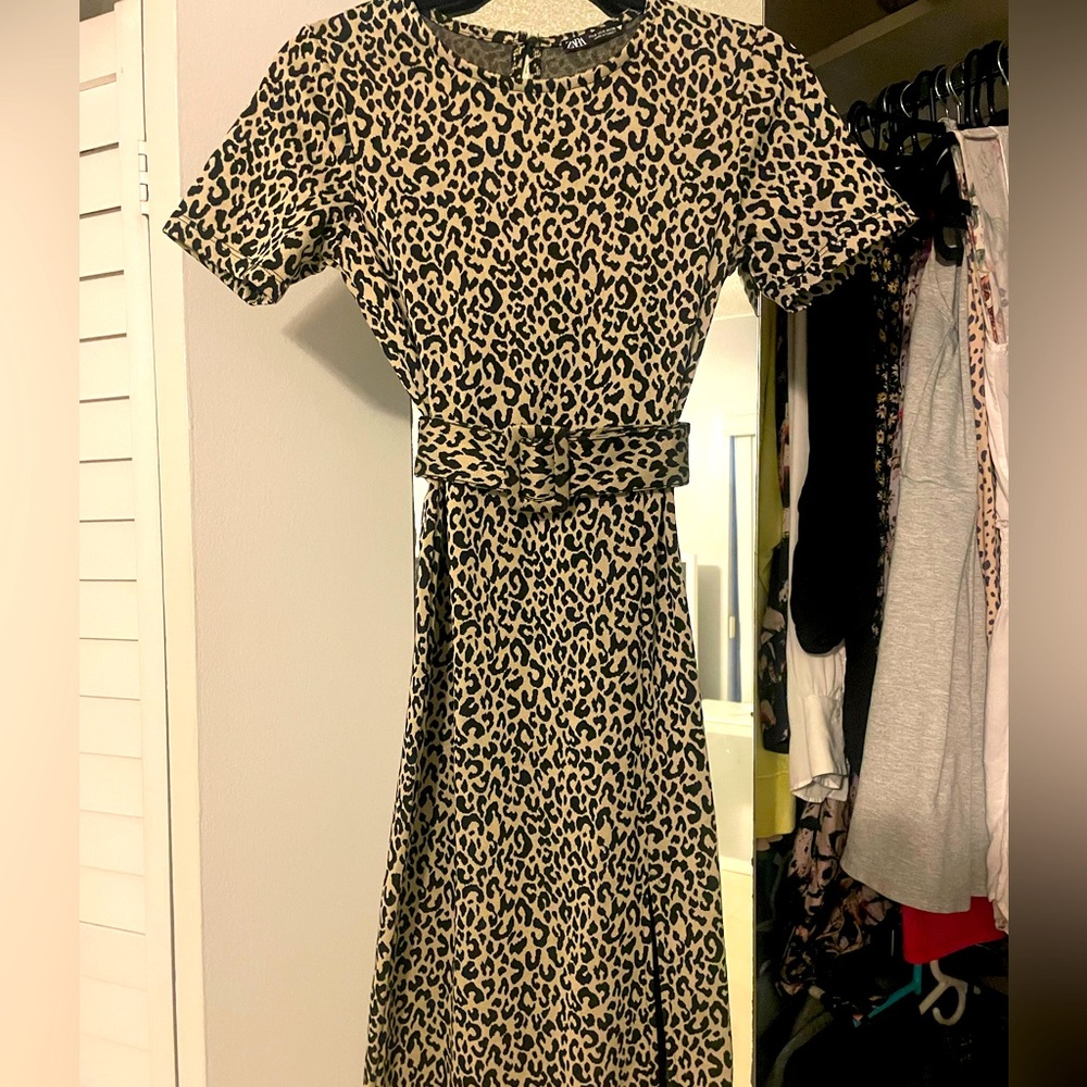 Zara animal print dress